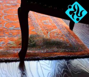 دلیل-ایجاد-کپک-فرش